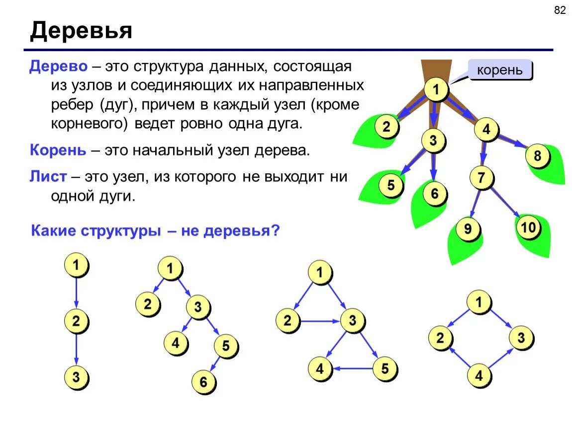 Дерево (структура данных). Дерево Информатика. Дерево программирование. Структура дерево Информатика.
