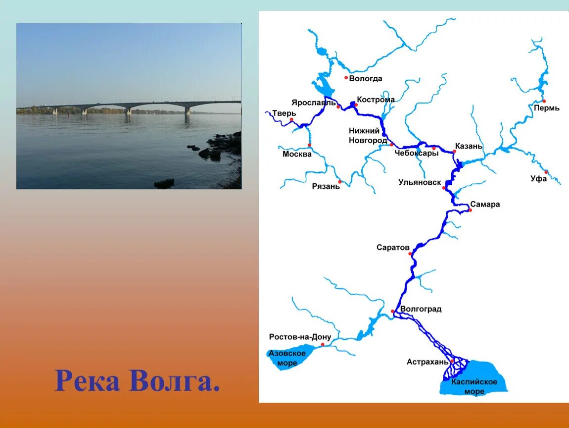 Карта городов расположенных на волге. Река Волга карта схема реки. Река Волга на карте от истока до устья. Река Волга на карте России Исток и Устье. Река Волга Исток и Устье на карте.