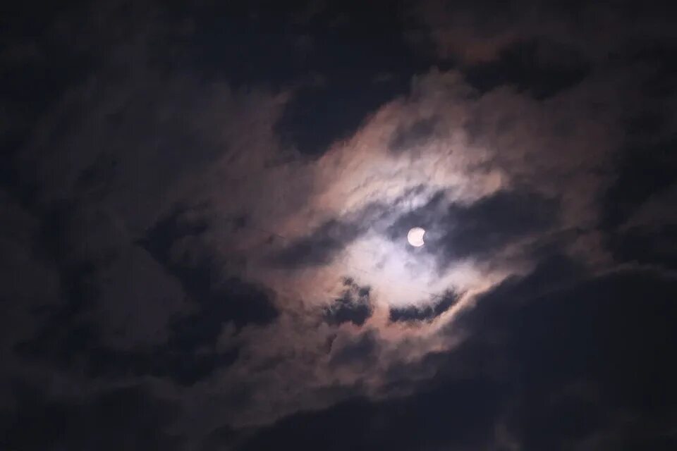 Planning to watch the solar eclipse from Arkansas? Check out this useful web por