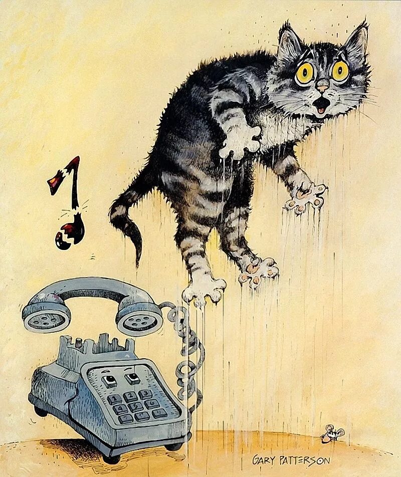 Смешные открытки с котом. Коты иллюстрации. Кошки Рисованные прикольные. Смешные иллюстрации котов. Смешные кошки рисунки.