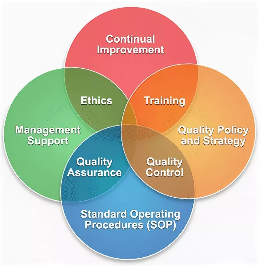 Quality search. Quality strategy. quality policy leadership. quality support. quality assurance and operative procedures.