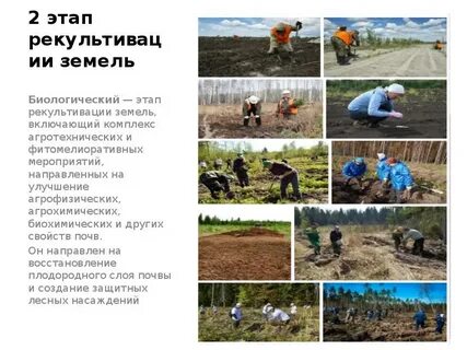 Этапы почвы