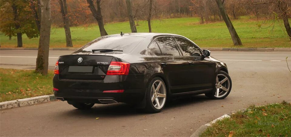 Skoda octavia a7 занижение -35. Skoda octavia a7 1. Skoda octavia a7 занижение -35. Octavia a7 занижение технорессор. Octavia a7 занижение -30.
