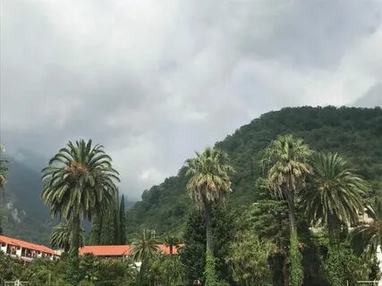 Rit hotel абхазия