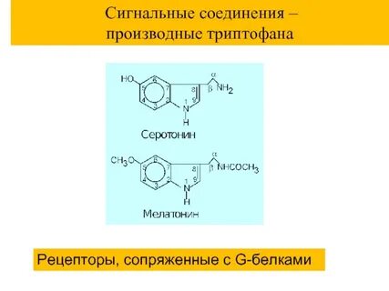 Гормоны производные