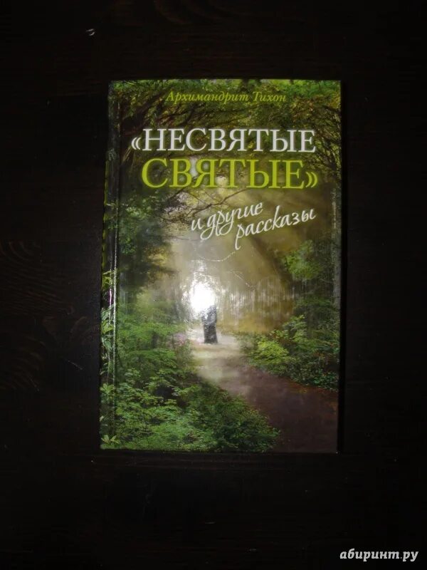 Несвятые святые иллюстрации к книге. Несвятые святые слушать 1