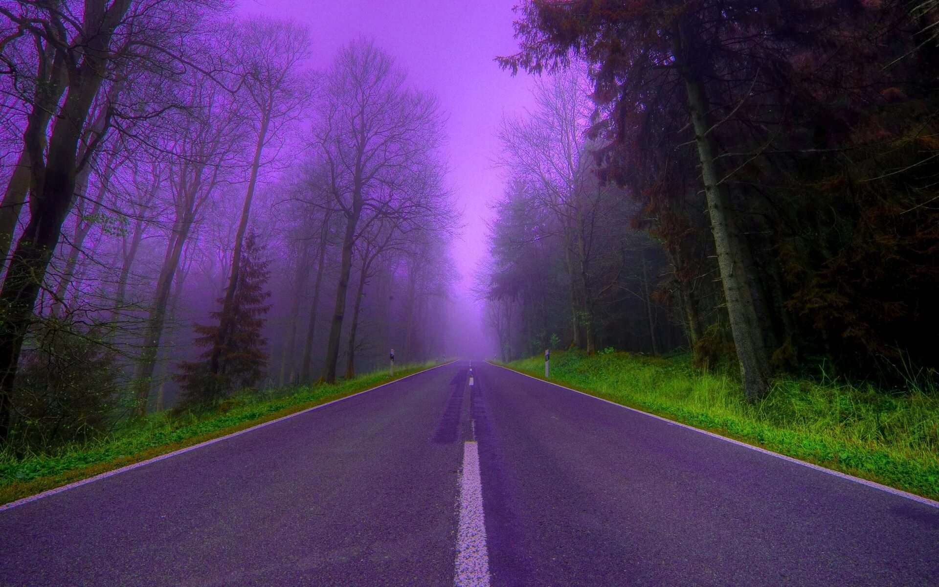 Природа. Фиолетовая природа. Фиолетовый туман. Фиолетовая дорога.