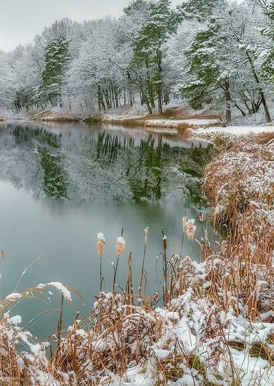 Чуть теплее. Доброе зимнее утро приколы. Чуть теплее. Чуть теплее. Добрые иллюстрации.