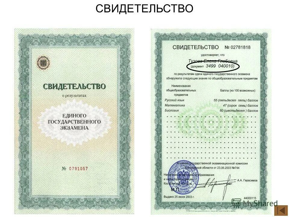 Получить сертификат егэ. Сертификат егэ. сертификат о результатах егэ. результаты егэ документ. документ свидетельство о результатах егэ.