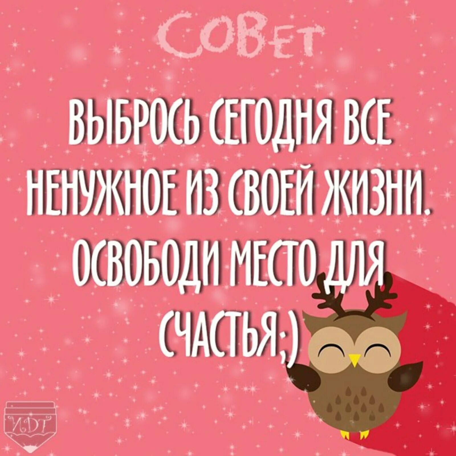 Совет дня. Веселые советы на каждый день. Смешные советы. Прикольные советы на каждый день. Советы хорошему мужу