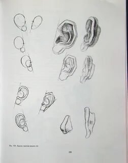 Академический рисунок уха