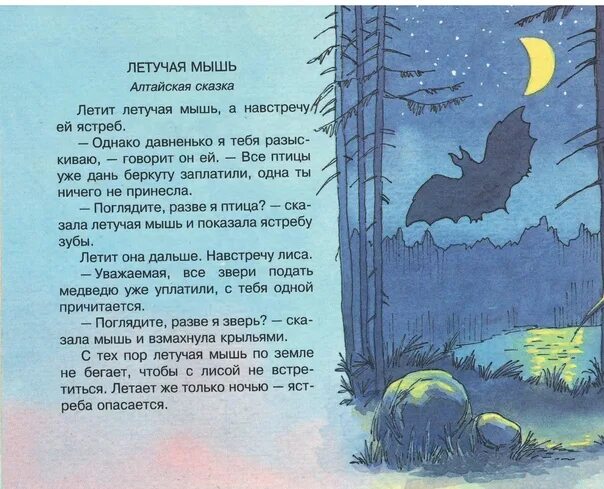 Стихи про летучую мышь. Сказка про летучую мышь. рассказ о летучей мыши. алтайские сказки короткие. сказка про летучую мышь для детей.