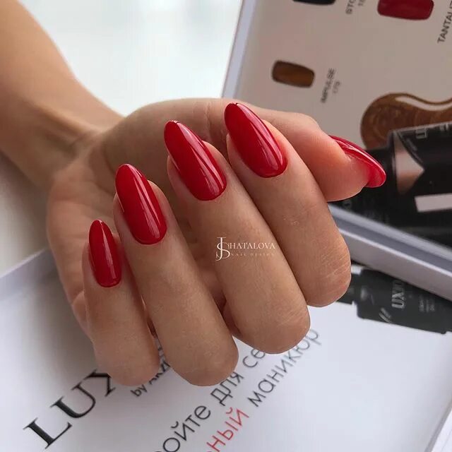 Luxio гель лак voyage. Luxio dolce 230. Luxio гель новая коллекция 2022. Luxio коллекция осень 2024. Luxio коллекция осень 2024.