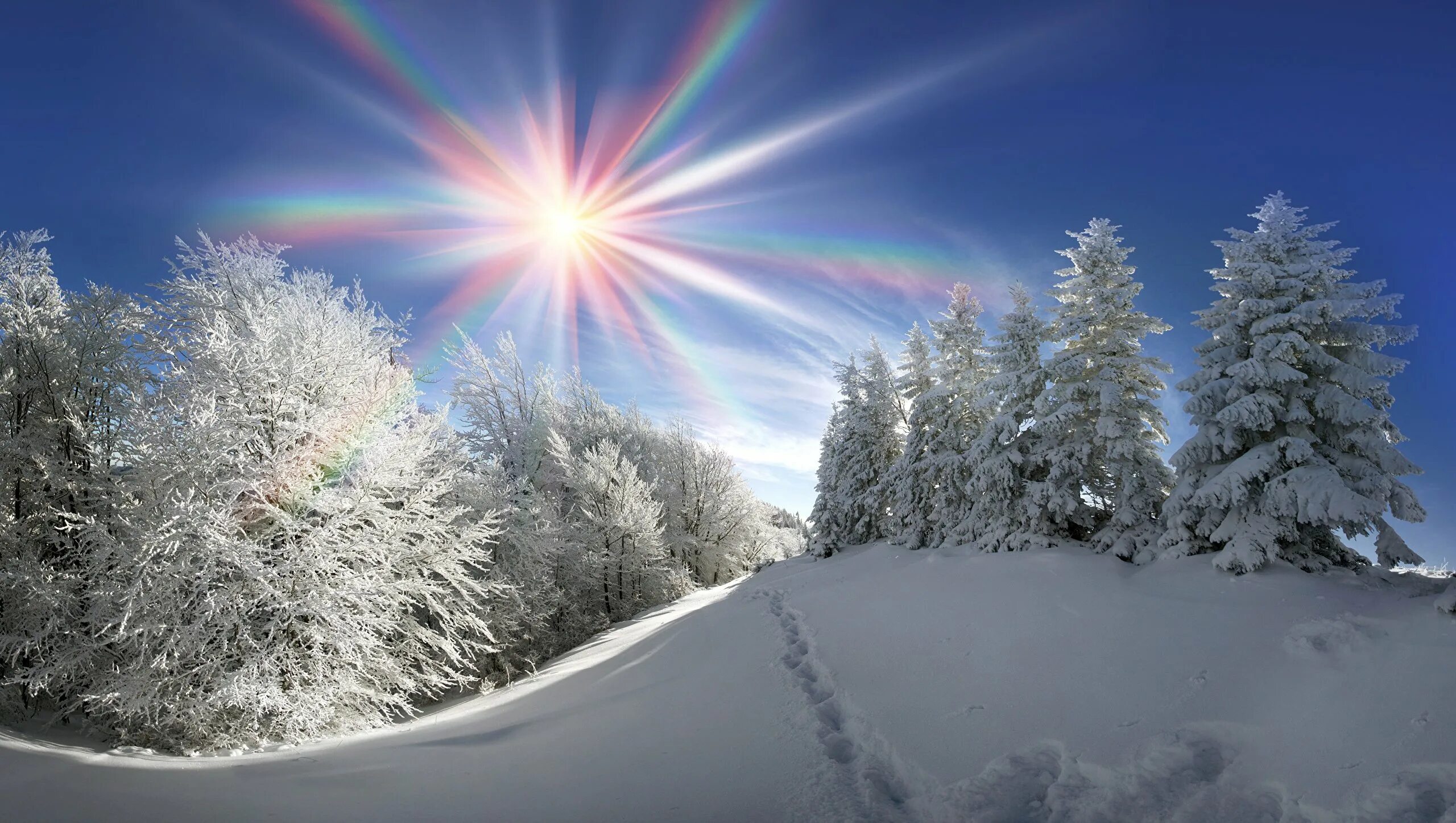 Солнечный день январь. Зима солнце. Красивая зима. Зимняя природа. Красивые пейзажи зимы.