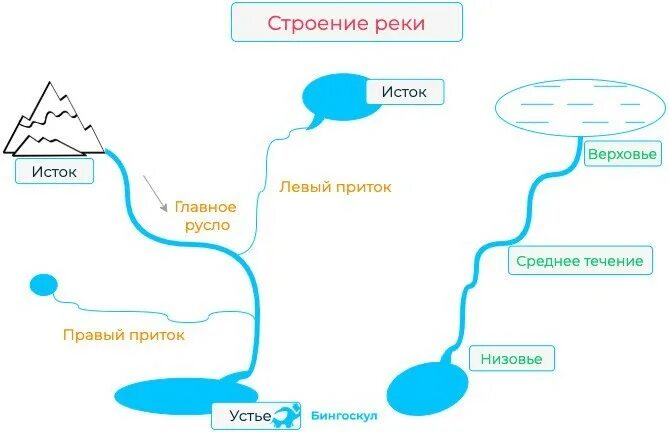 Исток реки Устье правый приток левый приток. Схема реки Исток приток русло Устье. Река Клязьма Исток и Устье схема. Схема реки от истока до устья. Откуда берет начало река тура