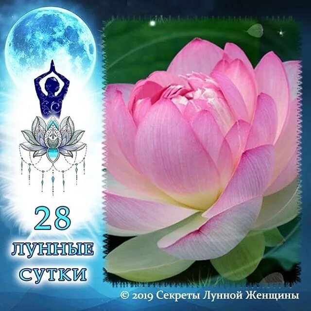 29 лун сутки. 28 Лунный день. 28 Лунный день Лотос. Символ 28 лунного дня. 28 Лунный день символ дня.