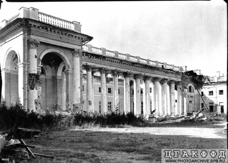 Александровский дворец старые (много фото) - viewsnap.ru