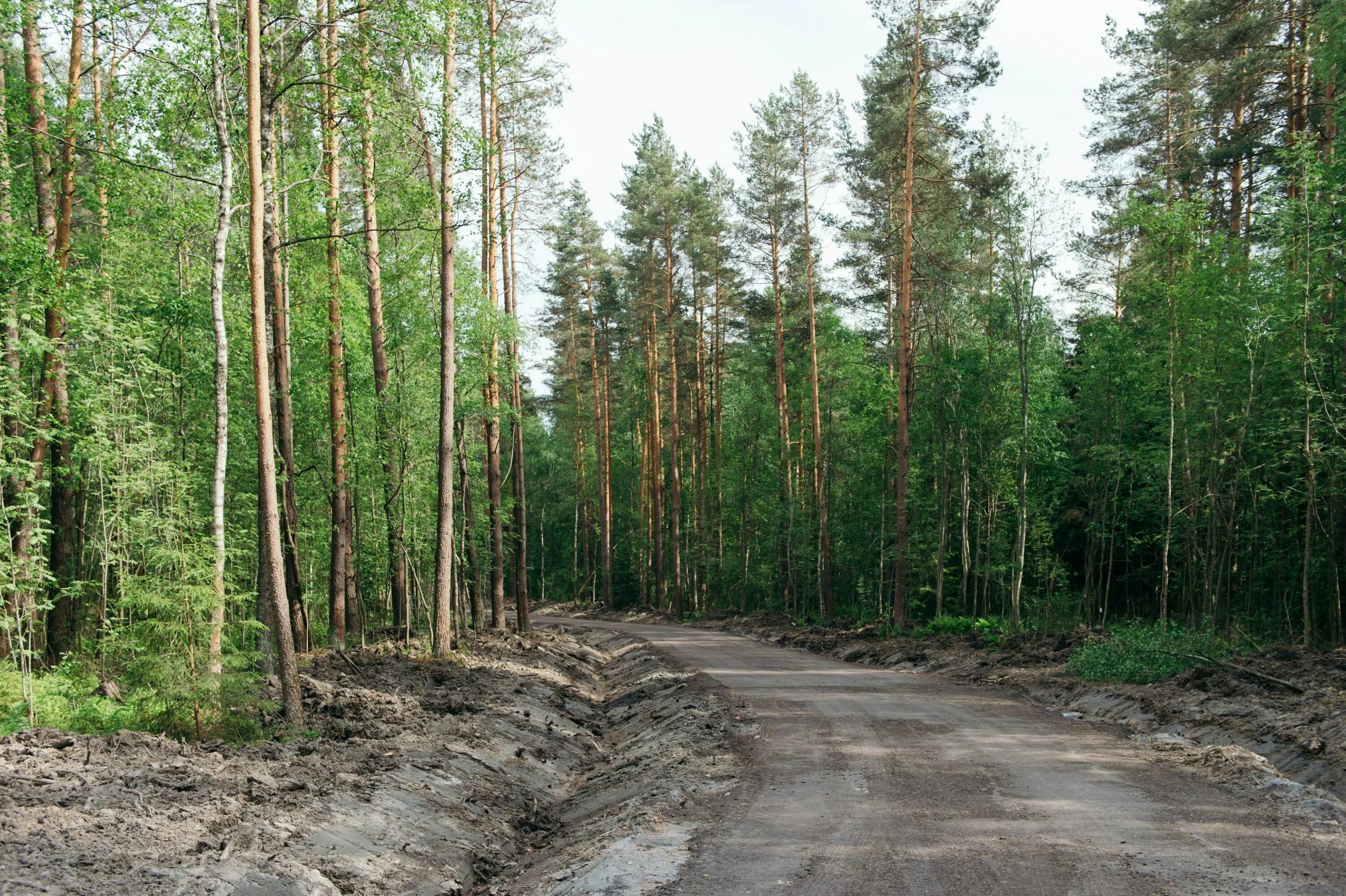 Факт кп сосновый пляж фото. Поселок сосново отзывы. Коттеджный поселок сосновый бор набережные челны. Сосновый бор щаповское поселение коттеджный поселок. Поселок сосново отзывы.