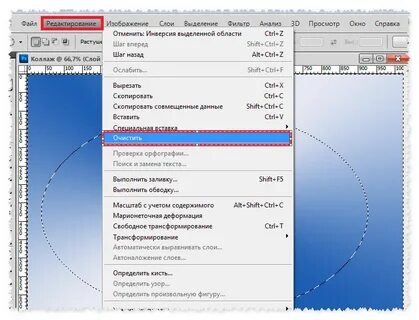 Как выделить область в фотошопе