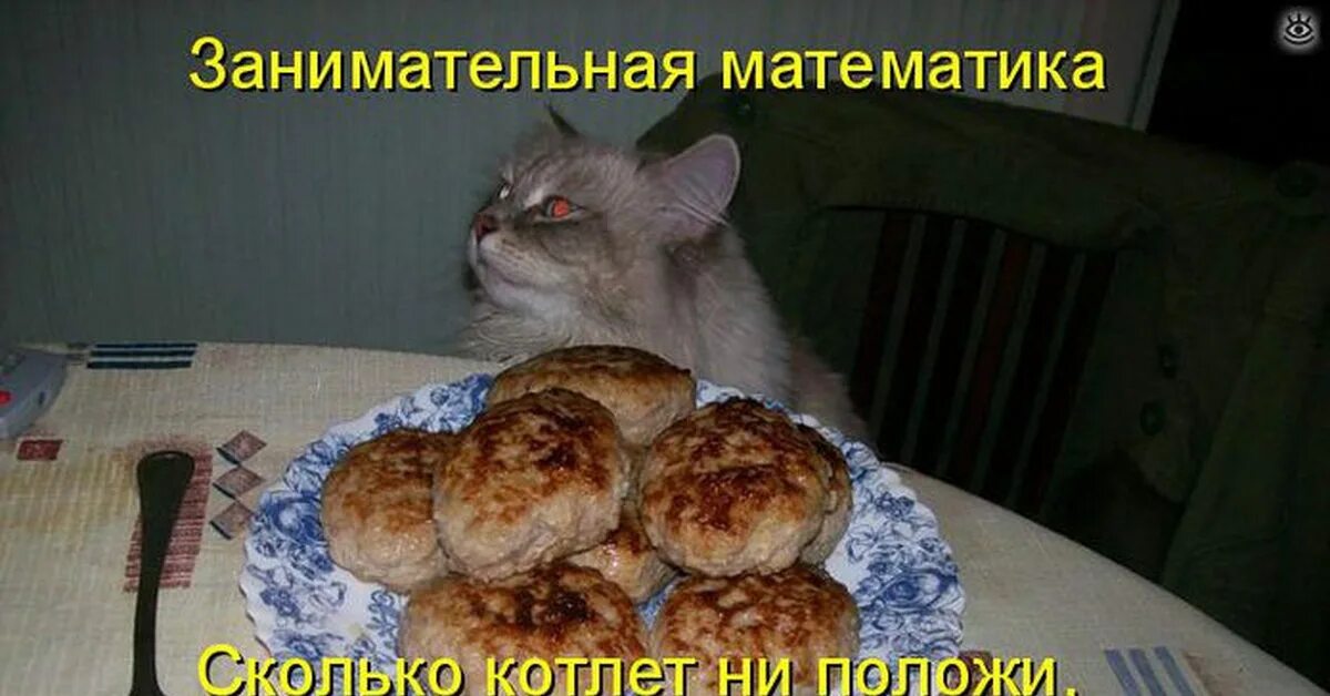 Всех кормит а сама не ест ответ. Котик с котлетками. Кот и котлета. Коты и котлеты. С днем котлеток.