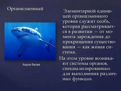 Психология организменный уровень