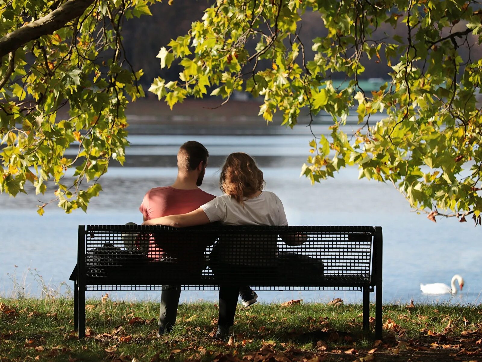 Скамейка в мурманске. Скамья встреча. Пара на скамейке в парке. Скамья семьи любви и верности. Скамья albizzi tetchair tet_13550.