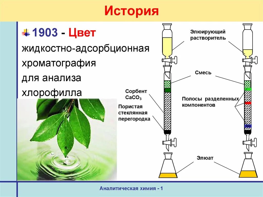 Разделение пигментов листа метод. Метод хроматографии хлорофилла. Разделение хлорофилла методом хроматографии. Опыты цвета по хроматографии. Элюент и элюат.