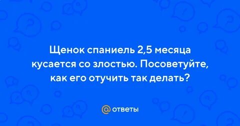 Щенок 2 месяца кусается как отучить