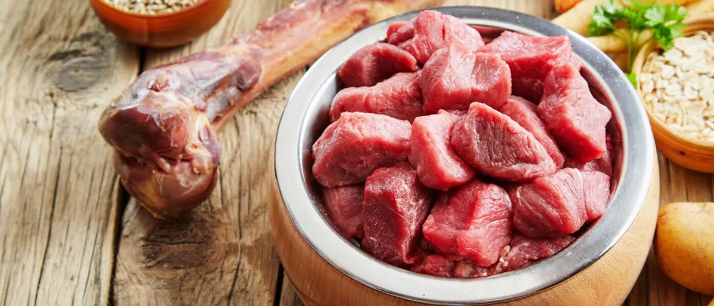 Миска с мясом. Натуральное питание. Сырое мясо на белом фоне. Еда для собак натуралка.