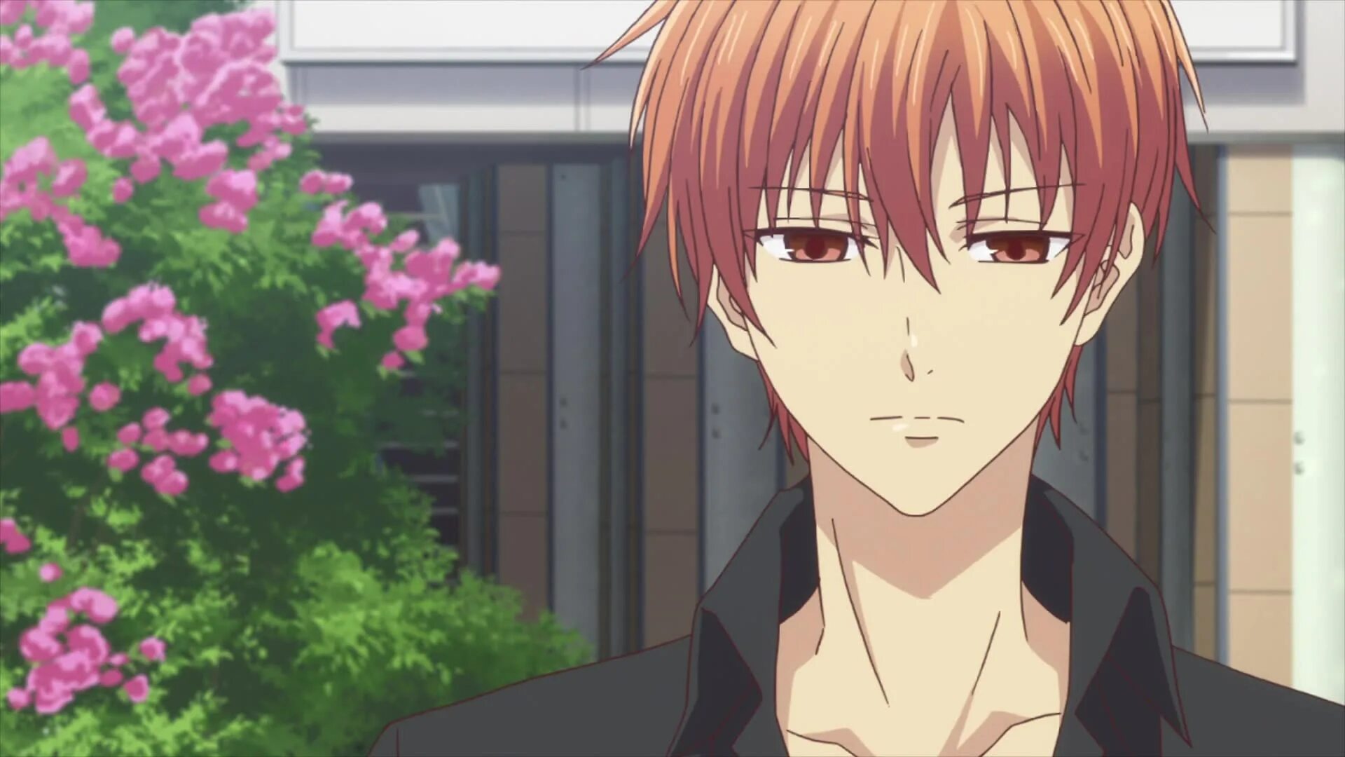 Корзинка фруктов / fruits basket. Юки и тору корзинка фруктов 2019. Тору корзинка фруктов 2019. Корзина фруктов 4. Корзинка фруктов / fruits basket.