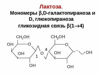 Альфа 1 4 гликозидная связь