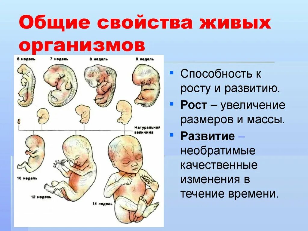 Необратимые качественные изменения свойств организма