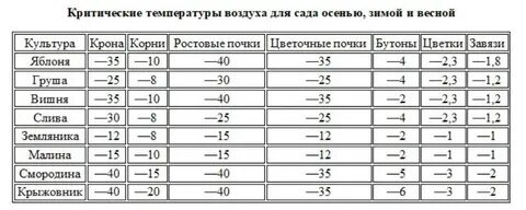 Виноград оптимальная температура