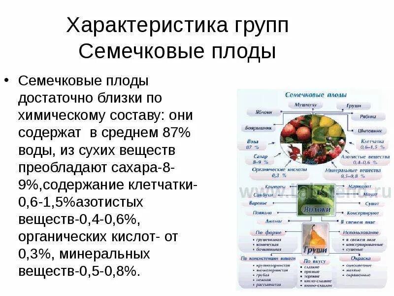 Классификация цитрусовых плодов товароведение. Требования к качеству косточковых плодов. Классификация плодов соплодие. Характеристика групп плодов. Характеристика групп плодов.
