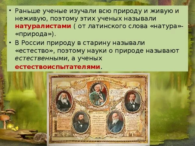 Наука изучающая живую природу называется 3 класс. Раньше ученые изучали всю живую природу. ученые которые изучали природу. ученые изучающие природу как называются. природа в старину называлась.