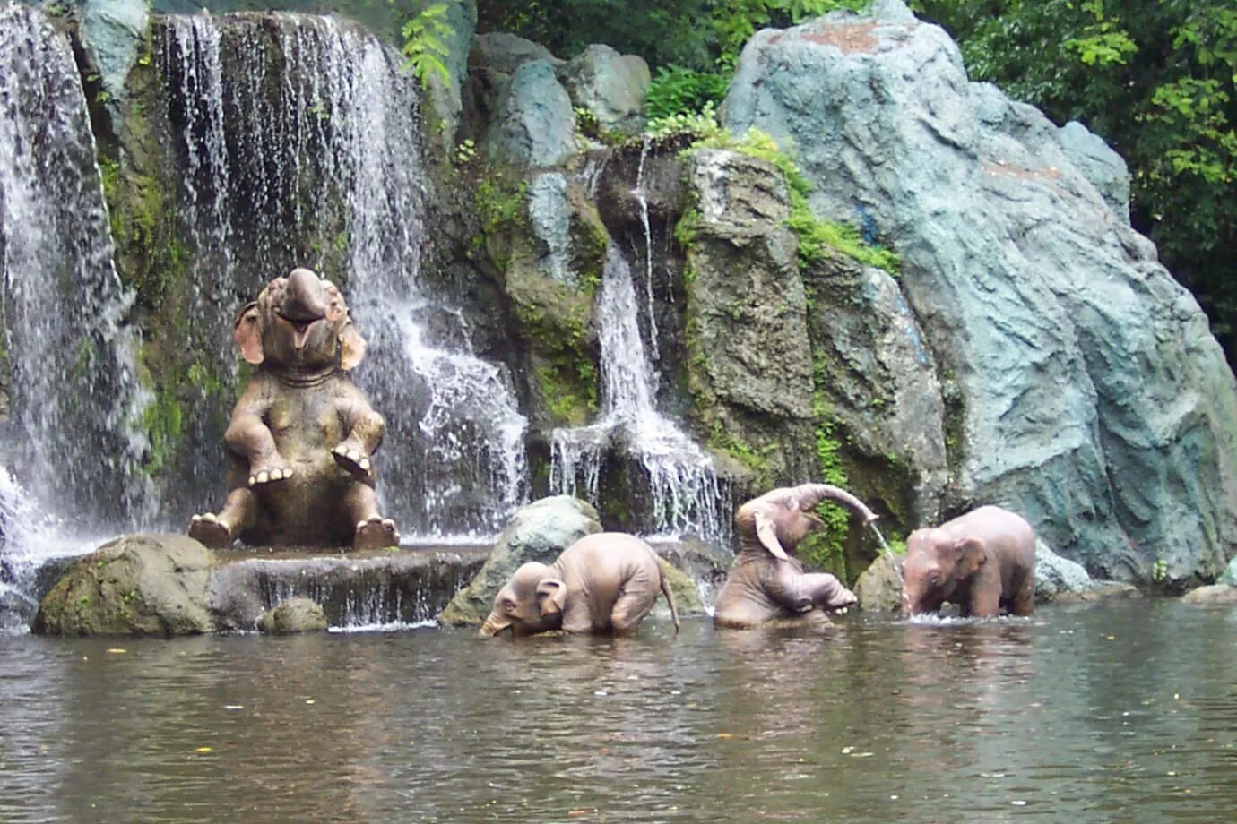 Животные купаются. Слоны на водопаде. Слоны купаются. Слон под водопадом.