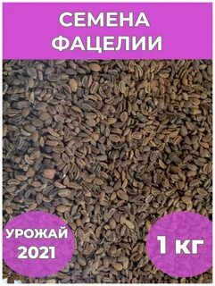 Фацелия семена для чего используют