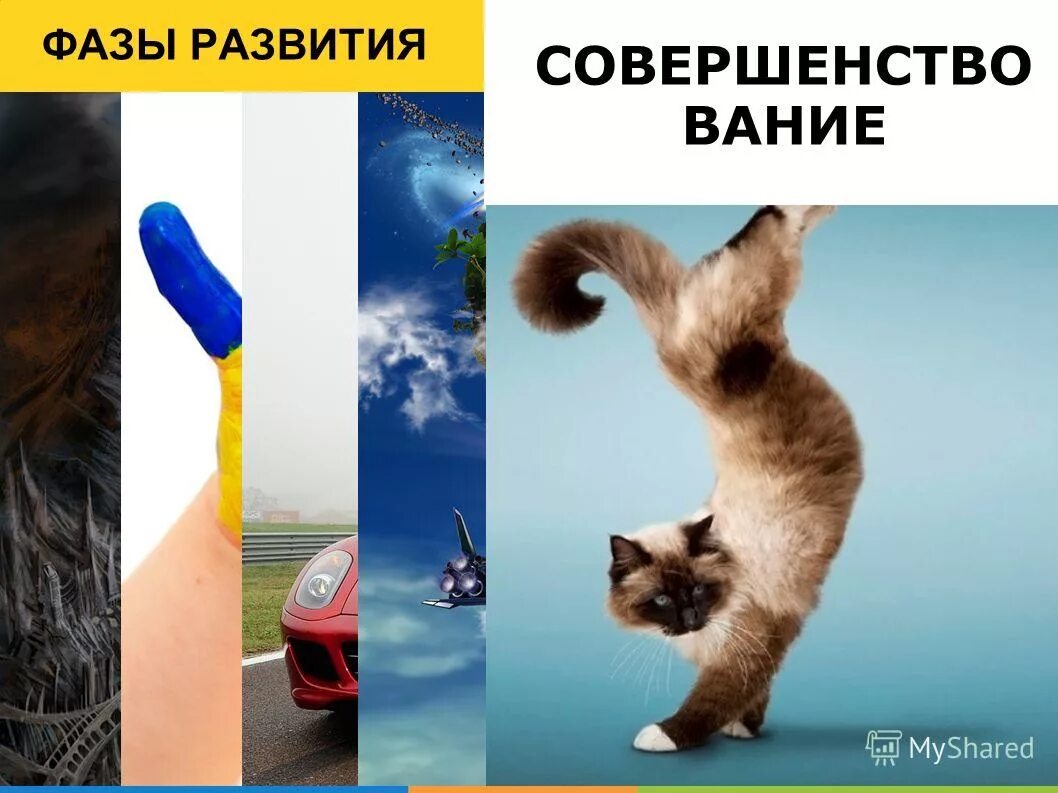 эволюция сознания человека. физическое совершенство это. физическое совершенство это исторически. развитие и деградация человека.