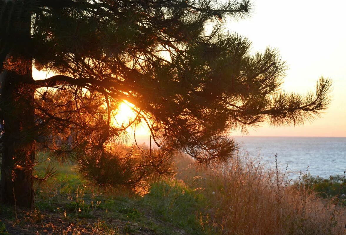 Уходящего солнца. Последний луч. Уходящее солнце. В лучах уходящего солнца. #последние лучи уходящего солнца.