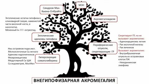 Мэн синдром