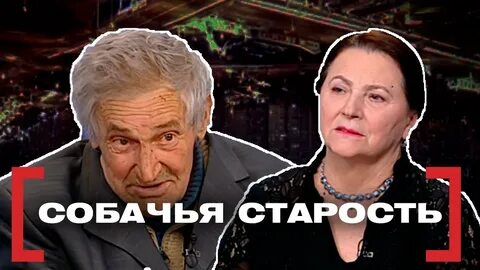 Собачья старость