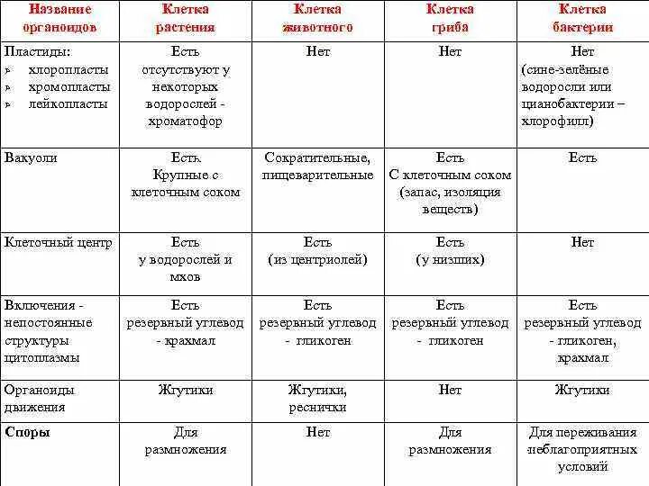 Сравнение клетки грибов растений животных. Строение клеток растений животных грибов и бактерий таблица. Сравнение строения клеток растений животных грибов и бактерий. Органоиды клеток растений животных и бактерий в таблице. Сравнительная таблица клеток растений животных бактерий грибов.