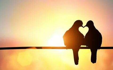 Love for two lives