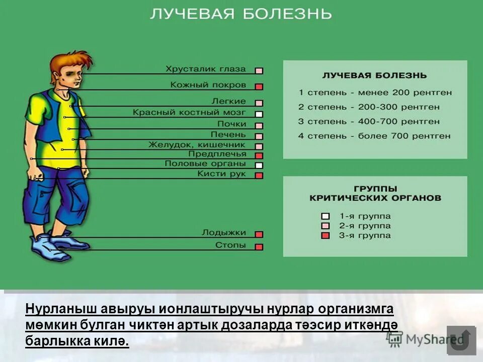 Лучевая болезнь возникает при облучении дозой. Информационный плакат лучевая болезнь. группы критических органов при лучевой болезни.