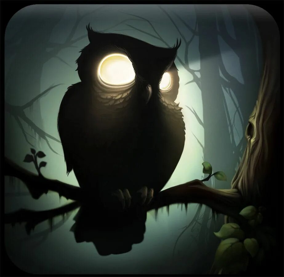 Сова бандит. Найт оул / ночная сова (night owl). страшная сова. сова в темноте. мистическая сова.