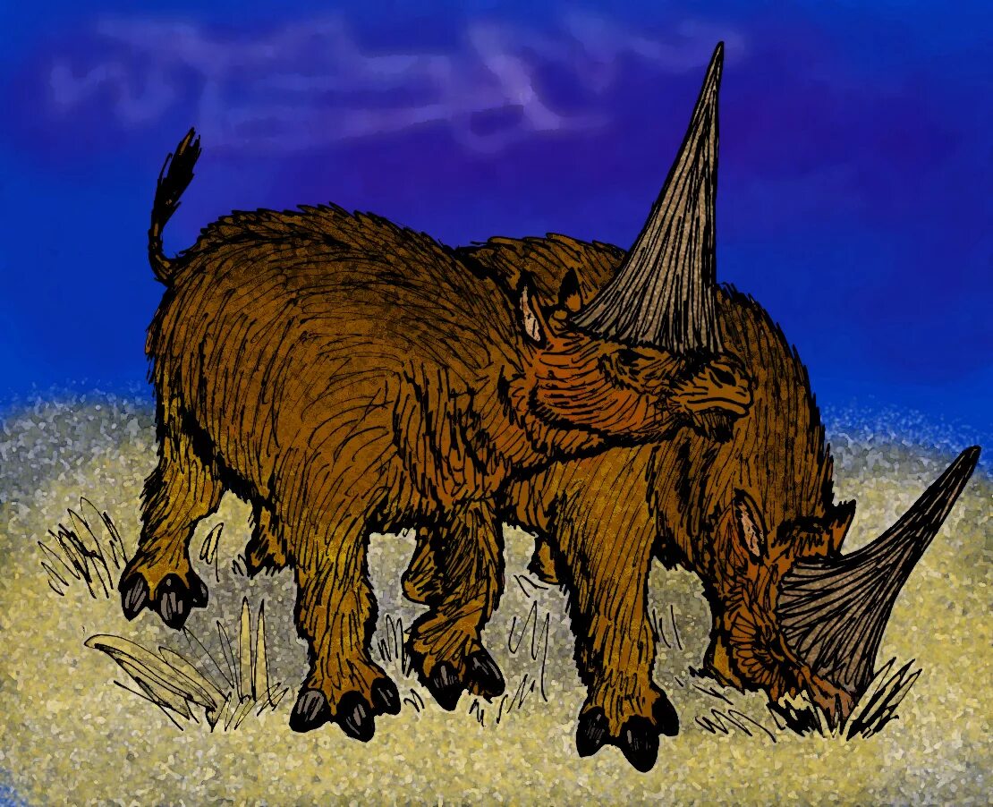 Сибирский Единорог (Elasmotherium). Эласмотерий Сибирский. Эласмотериум Сибирикум. Древний Единорог Эласмотерий.