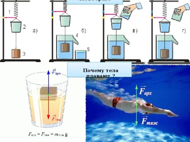 Тела плавают внутри жидкости в любом положении. Тело плавает эксперимент. Опыты по изучению плавания тел. Плавание тел физика 7 класс. Плавание тел домашний эксперимент.