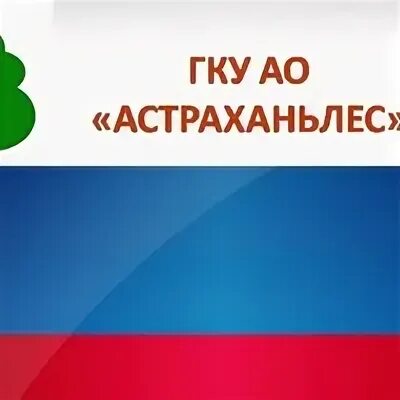 Государственные казенные учреждения астраханской области. Погода на завтра в Бобруйске. Погода в Бобруйске на 14 дней. Погода в Бобруйске на неделю. Погода в Бобруйске на 10.