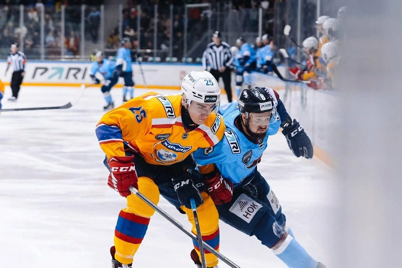 Химик сокол. Воскресенский химик дюсш. Химик вхл. Сокол химик игра. Химик сокол.