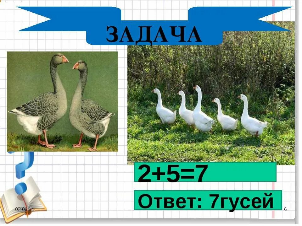 Гусь на какой вопрос отвечает. 7 гусей. задача про гусей. гусь гусыня задание. вопрос с ответом гусь.